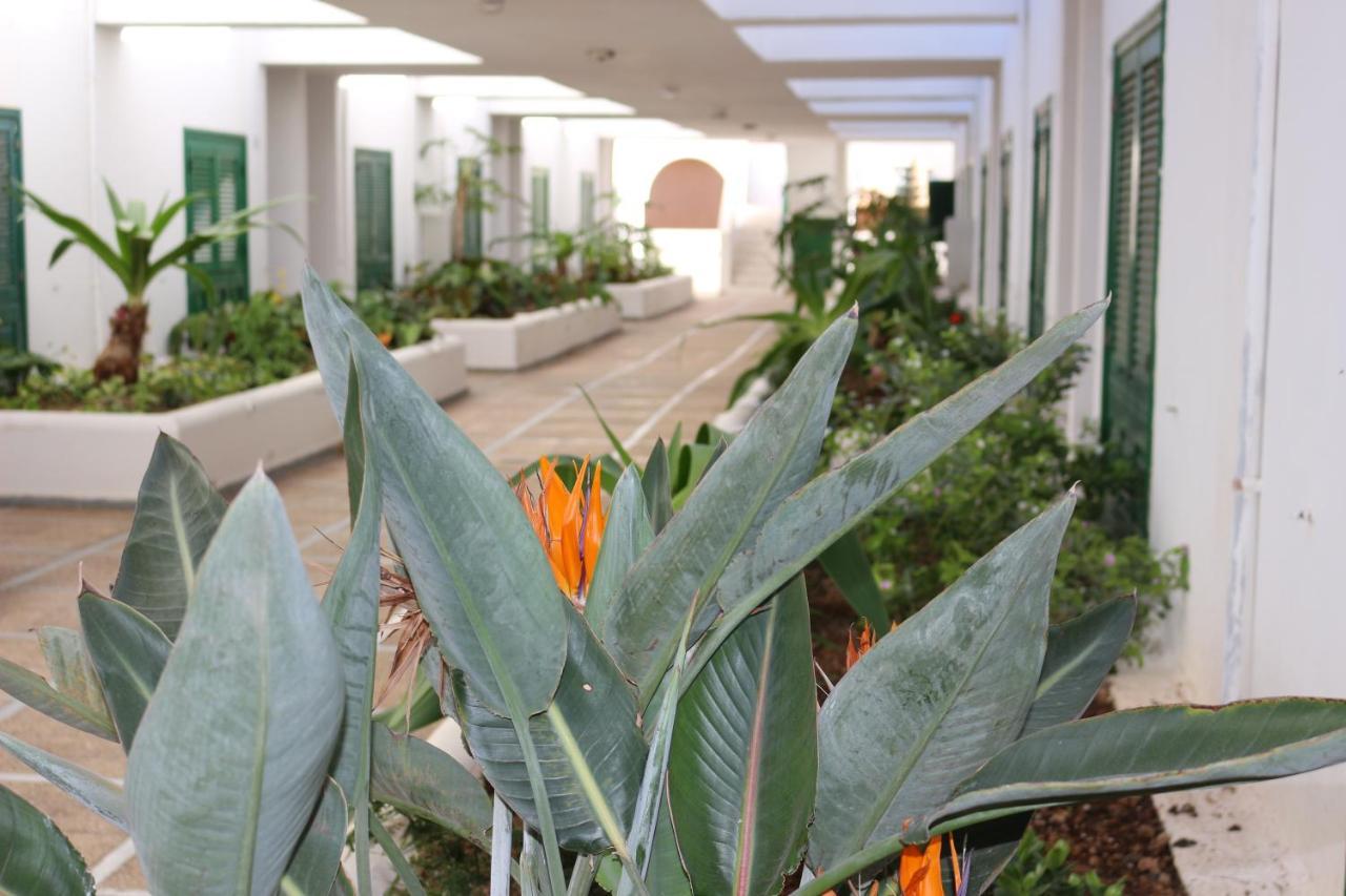 Bungalow Balancon Duplex Ελ Μέντανο Εξωτερικό φωτογραφία