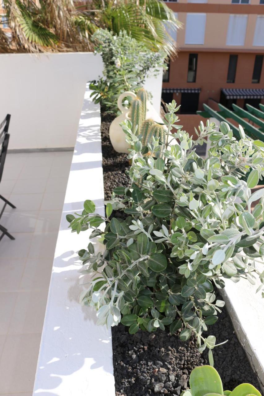 Bungalow Balancon Duplex Ελ Μέντανο Εξωτερικό φωτογραφία